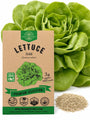 Lettuce Bibb Seeds - Organo Republic