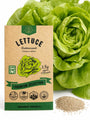 Lettuce Buttercrunch Seeds