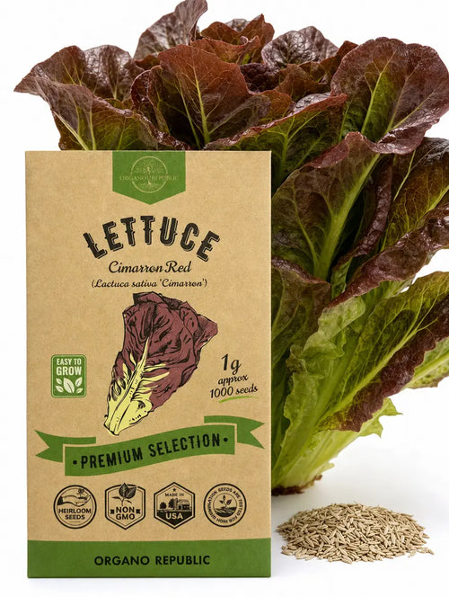 Cimarron Red Romaine Lettuce Seeds – Non-GMO Heirloom