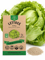 Lettuce Iceberg Seeds - Organo Republic