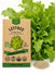 Lettuce Oakleaf Green Seeds