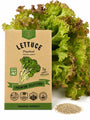 Lettuce Prizehead Seeds