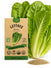 Lettuce Romaine Seeds