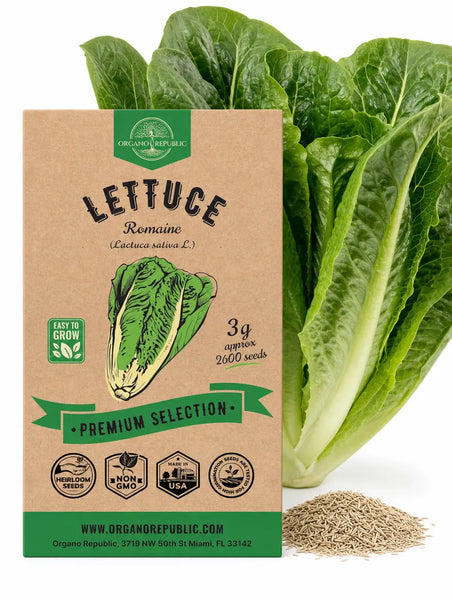 Lettuce Romaine Seeds - Organo Republic