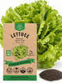 Lettuce Simpson Green Leaf Seeds - Organo Republic