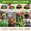 Lettuce & Salad Greens Seeds Variety Pack Organo Republic