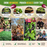 Lettuce & Salad Greens Seeds Variety Pack Organo Republic