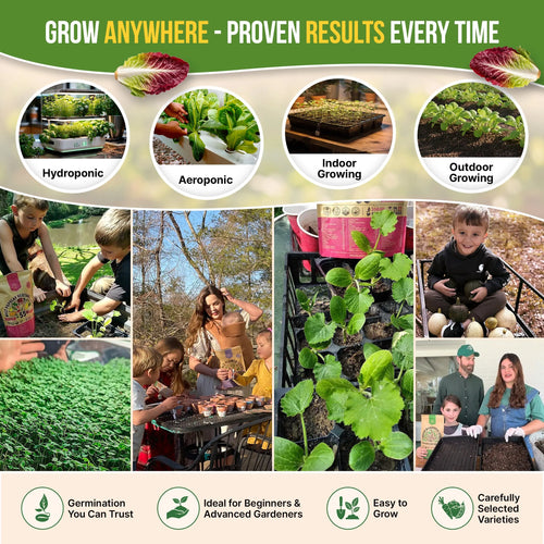 Lettuce & Salad Greens Seeds Variety Pack Organo Republic