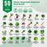 50 Winter Vegetable Garden Seeds Variety Pack