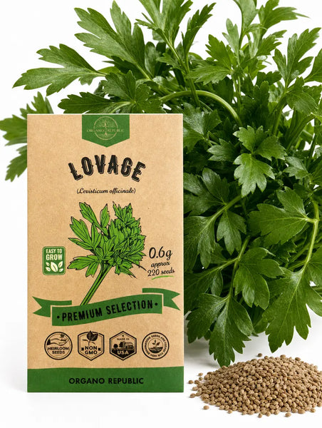 Lovage Seeds