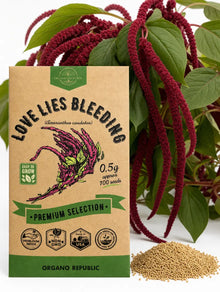 Love-Lies-Bleeding Amaranth Seeds – Non-GMO Heirloom