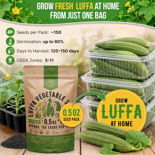 Luffa Gourd Seeds Organo Republic