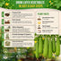 Luffa Gourd Seeds Organo Republic