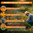 Marigold Seeds Pack Organo Republic