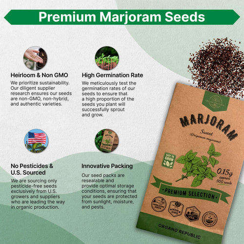 Marjoram Seeds Pack 0.15G