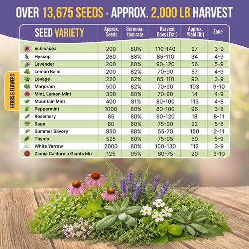 30 Medicinal Tea Herb & Flower Seeds Variety Pack