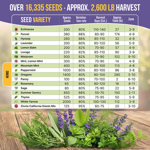 35 Medicinal & Tea Herb Seeds Variety Pack