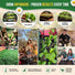 Medicinal & Tea Herb Seeds Variety Pack Organo Republic