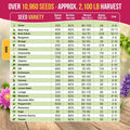 Medicinal & Tea Herb Seeds Variety Pack Organo Republic