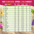 Medicinal & Tea Herb Seeds Variety Pack Organo Republic
