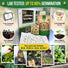 Medicinal & Tea Herb Seeds Variety Pack Organo Republic