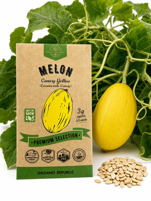 Canary Yellow Melon Seeds – Non-GMO Heirloom