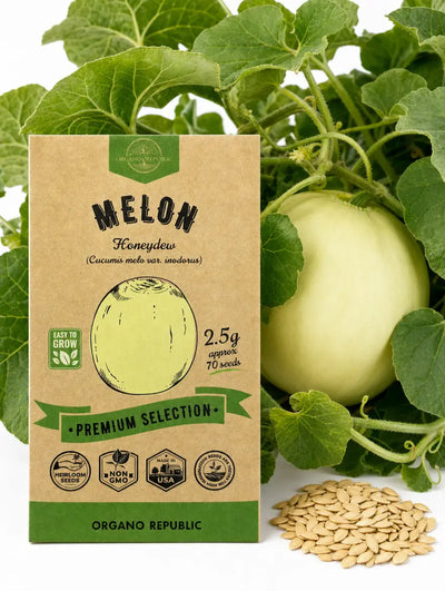Melon Honeydew Seeds