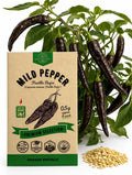 Mild Pepper Pasilla Bajio Seeds