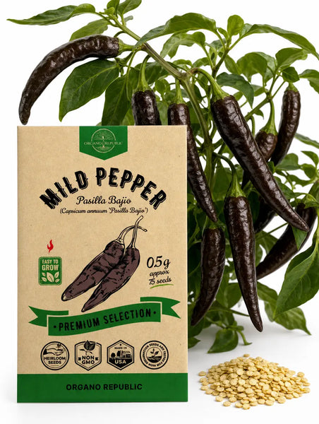 Mild Pepper Pasilla Bajio Seeds