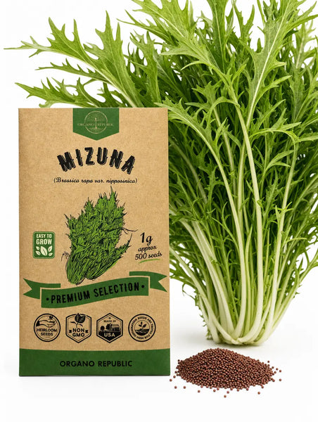 Mizuna Seeds