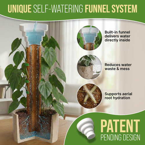 Moss Pole Monstera Plant Support Stakes Organo Republic