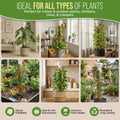 Moss Pole Monstera Plant Support Stakes Organo Republic