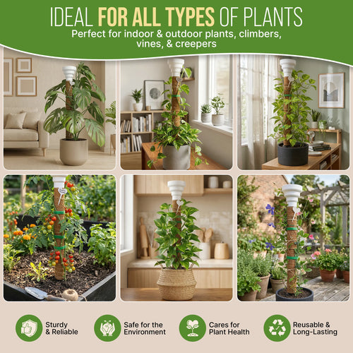 Moss Pole Monstera Plant Support Stakes Organo Republic