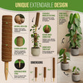Moss Pole Monstera Plant Support Stakes Organo Republic