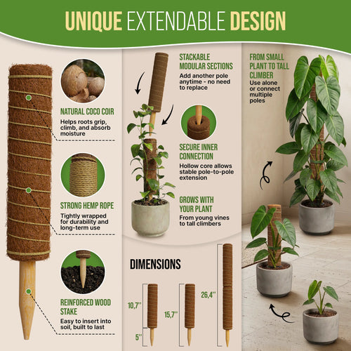 Moss Pole Monstera Plant Support Stakes Organo Republic