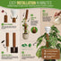 Moss Pole Monstera Plant Support Stakes Organo Republic