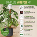 Moss Pole Monstera Plant Support Stakes - 2x26.4 or 48.7"