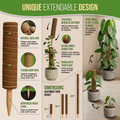 Moss Pole Monstera Plant Support Stakes - 2x26.4 or 48.7"