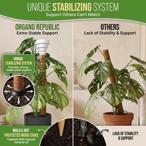 Moss Pole Monstera Plant Support Stakes - 2x26.4 or 48.7