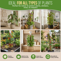 Moss Pole Monstera Plant Support Stakes - 26.4"