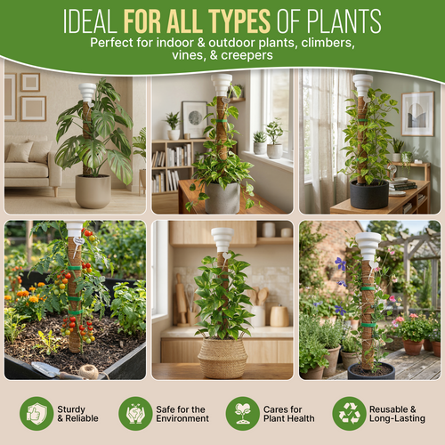 Moss Pole Monstera Plant Support Stakes - 2x26.4 or 48.7