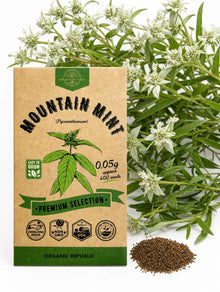Mountain Mint Seeds – Non-GMO Heirloom