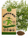 Mountain Mint Seeds