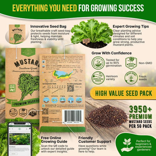 Mustard Southern Giant Seeds Pack 5G