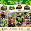 Mustard Southern Giant Seeds Pack 5G