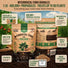 Mycorrhizal Fungi Granules Organo Republic