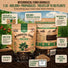 Mycorrhizal Fungi Granules 1lb