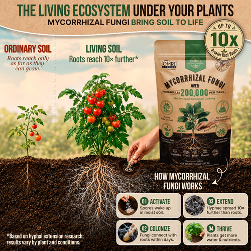 Mycorrhizal Fungi Granules 8oz