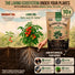 Mycorrhizal Fungi Granules 8oz