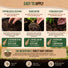 Mycorrhizal Fungi Granules 8oz